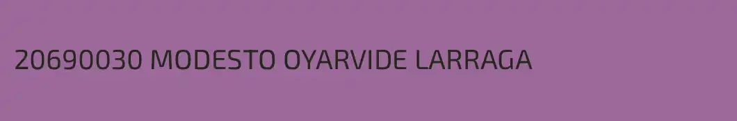 20690030 MODESTO OYARVIDE LARRAGA
